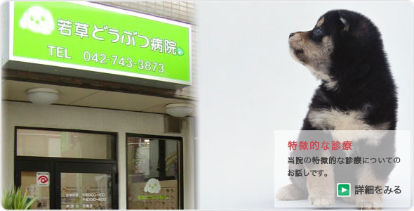 若草どうぶつ病院　特徴的な診療